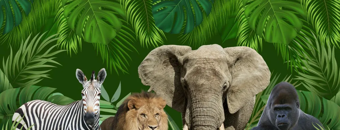 Warsaw Zoo entrance ticket