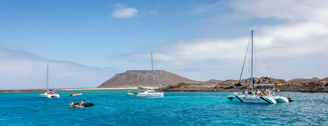 Adults only half-day Tenerife Freebird whale and dolphin catamaran