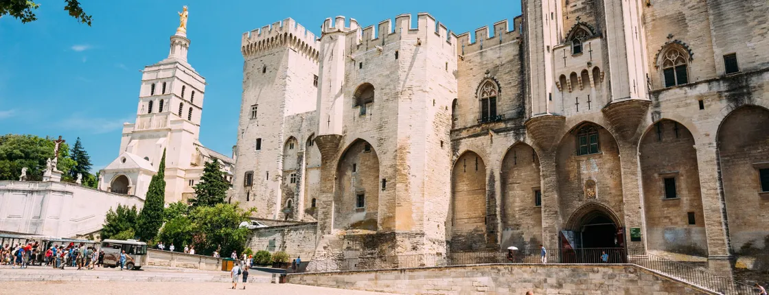 Palais des Papes entrance tickets and access to the Gardens