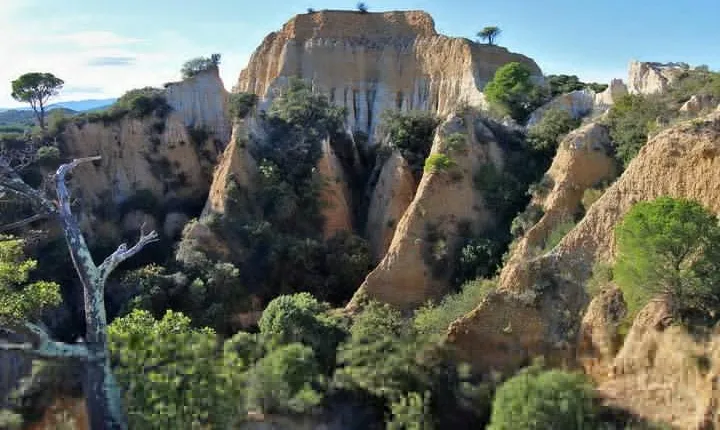 Wild Organs: Grand Landscape, Plants, Geology, Birdsongs