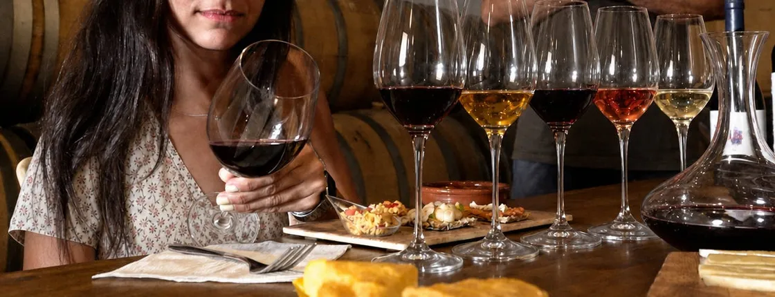 Half-day winery tour with wine tasting and tapas