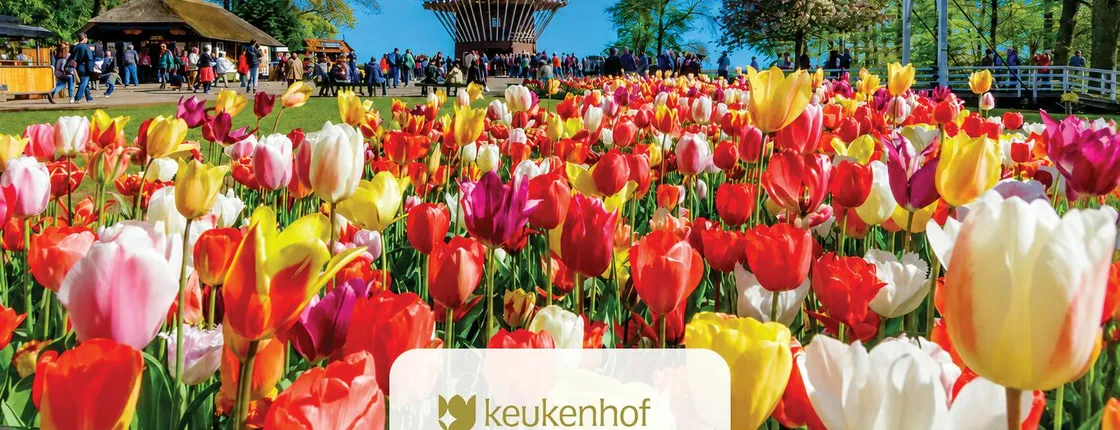 Round trip transfer and entrance to Keukenhof Gardens