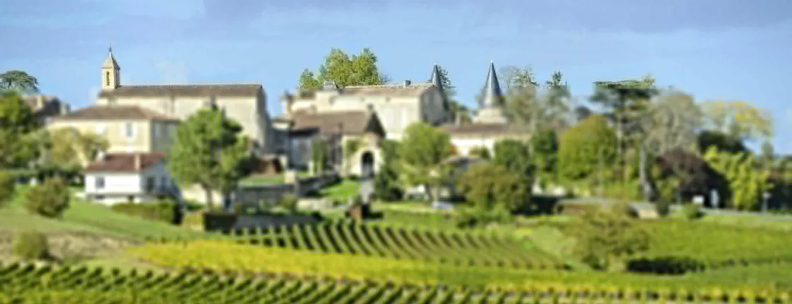 Grand cru Chateau and Saint Emilion village half-day guided tour