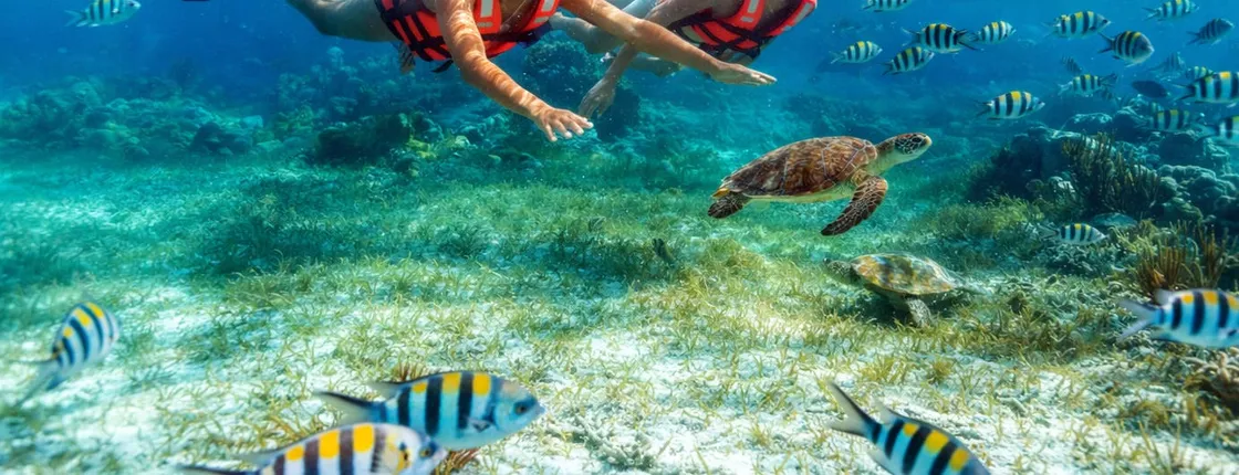 Snorkelling Adventure in Marine National Park with Beachside Lunch