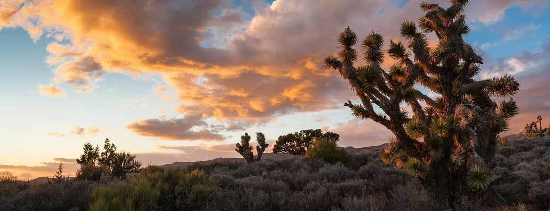 Stargazing tour at Lovell Canyon from Las Vegas