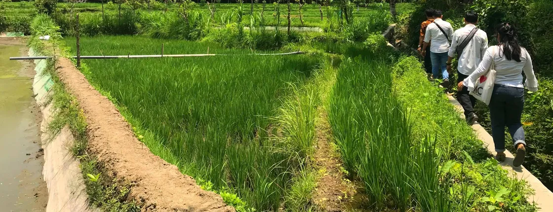 Lombok Countryside Experience from Lombok