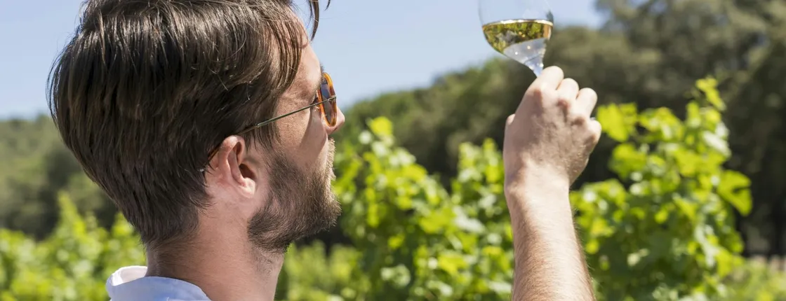 Full-day guided tour to Bandol wine AOP and Cassis
