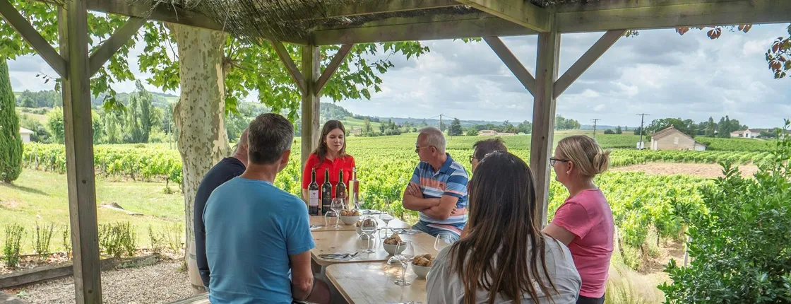 St. Emilion day-tour with village visit, wine tour and lunch