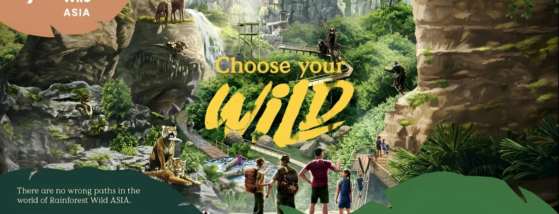 Rainforest Wild Asia