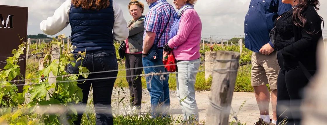 Médoc and Saint-Emilion wine tour