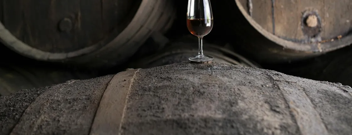 Seville Bodegas Góngora classic tour with tasting experience