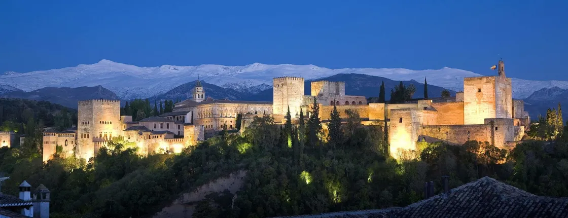 Alhambra skip-the-line tickets and guided tour at night