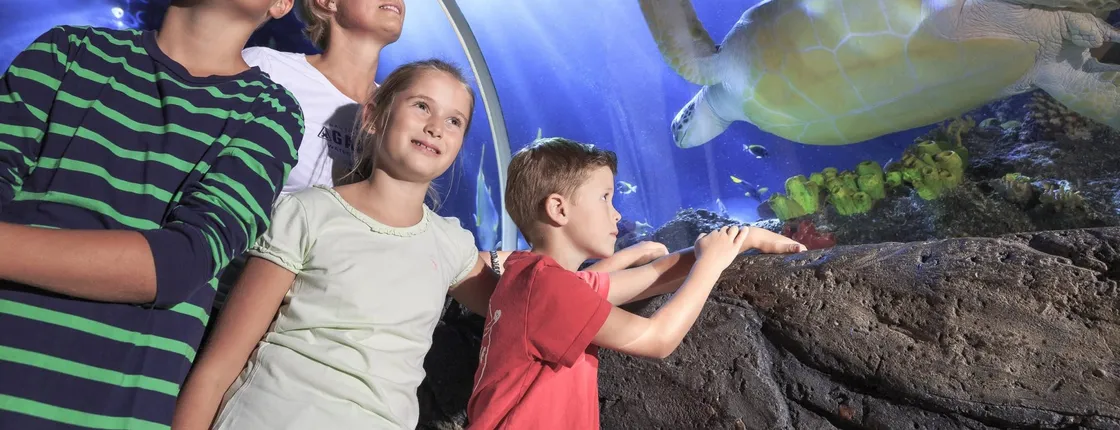 Entrance tickets to Timmendorfer Sea Life aquarium