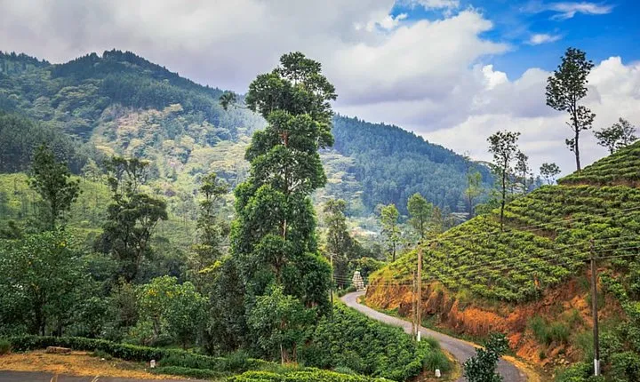 Knuckles and Riverston Trekking Experience From Kandy