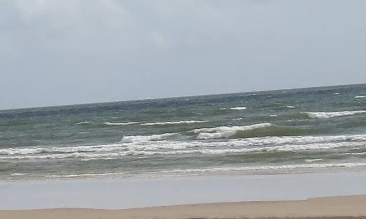 Marajó Island - 2D1N