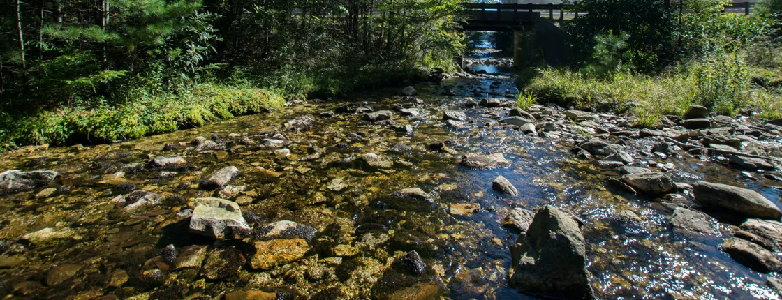 Michaux State Forest couple's bike ride