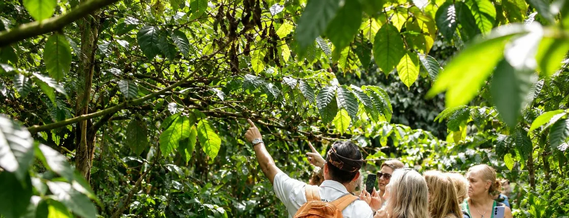 Mount Batur sunrise hike and natural hot springs in Bali
