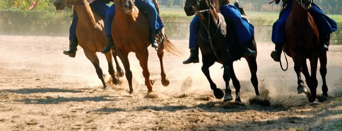 Day-trip to the Kecskemet Puszta including horse show and lunch from Budapest