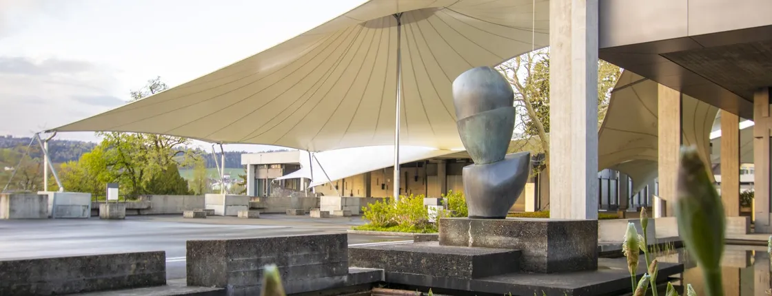 The art of St. Gallen university walking tour with a local