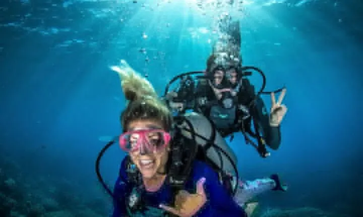 Try Scuba Diving Experience in Fujairah