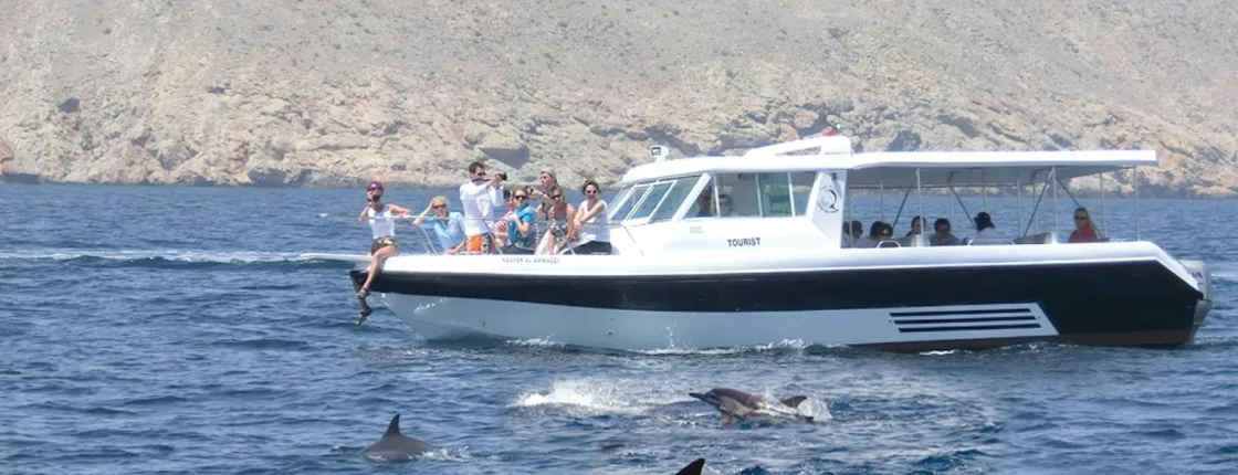 Dolphin Watching Tour in Salalah