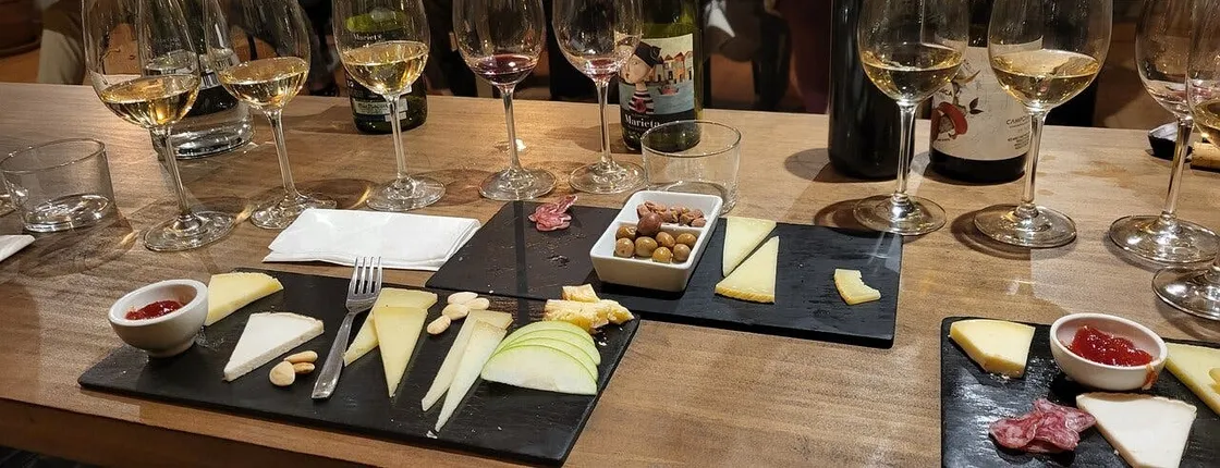 Santiago de Compostela Cheese and Wine Tasting Experience