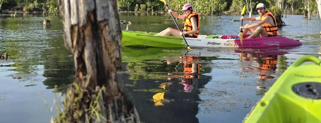 Klong Root kayak, eco printing, rubber tapping and pineapple farm tour