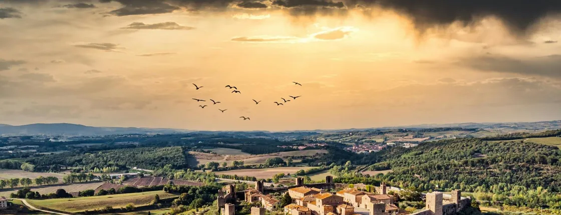 Siena, San Gimignano and Chianti wine tasting from Montecatini