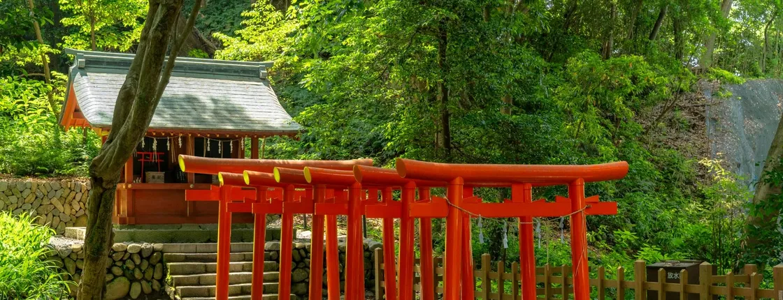 Shimizu private tour with Mount Fuji views and Kunozan Shrine