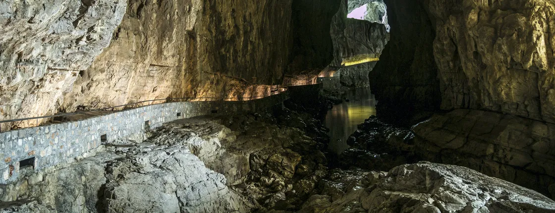 Guided tour of the Lipica Stud Farm and Škocjan Caves from Trieste