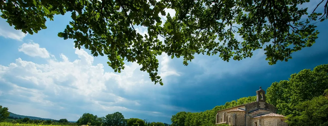 Gaillac small group wine tour with tastings from Toulouse