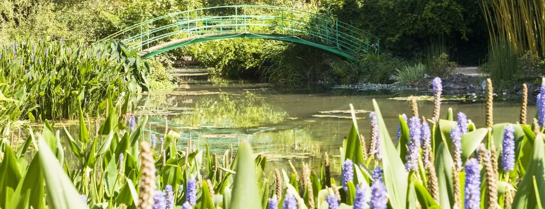 Giverny small group tour from Paris