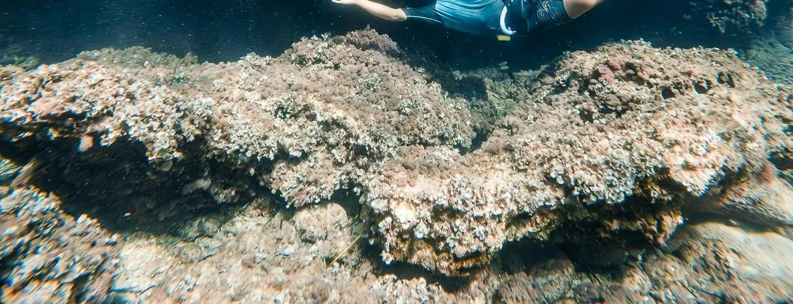 Majorca Guided Snorkelling Tour with Eco Island Adventure with Meeting Point