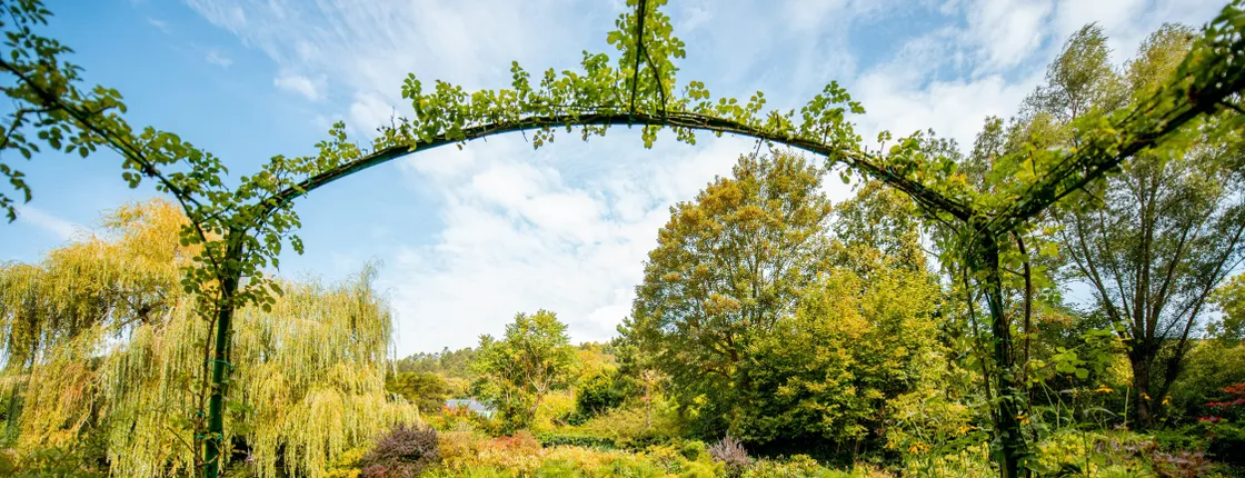 Versailles and Giverny in a Day from Paris