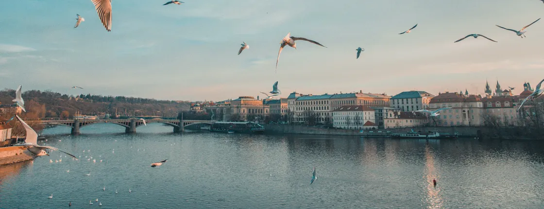 Prague's most photogenic spots walking tour with a local