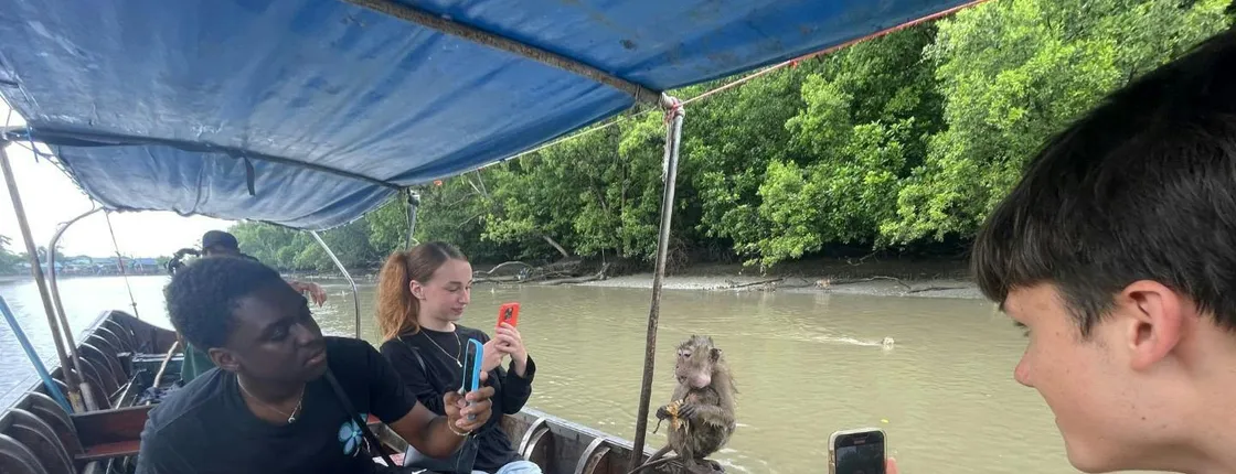 Floating and Railway Markets and Mangrove Boat private tour