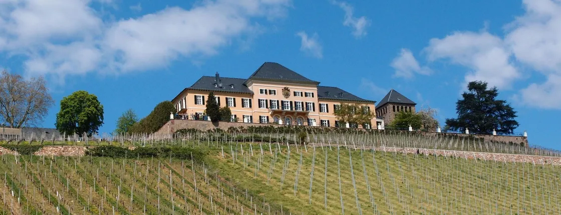 Rheingau e-bike tour