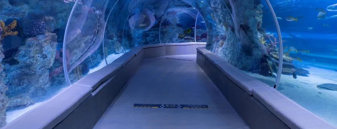 Istanbul Emaar Aquarium and Underwater Zoo with optional SkyView