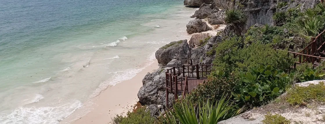 Full-Day Luxury Tour to Tulum, Cenote, and 5th Avenue Playa del Carmen
