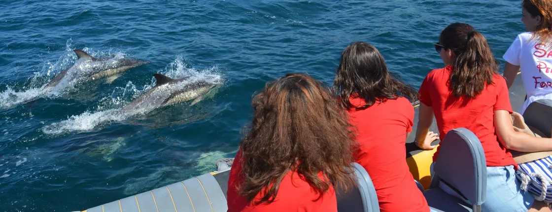 Boat tour with dolphin watching in Sesimbra