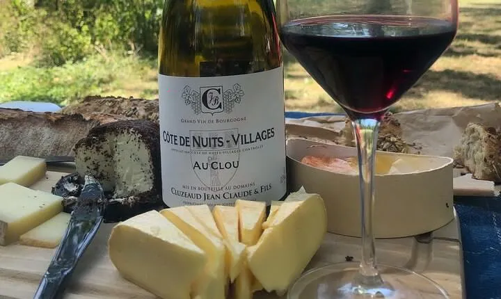 Cheese and Wine Pairing 1-Hour Session in Dijon