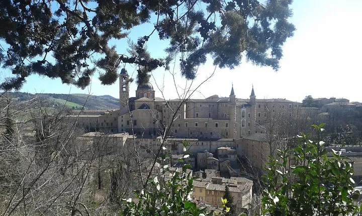 Visit of the Ducal Palace of Urbino