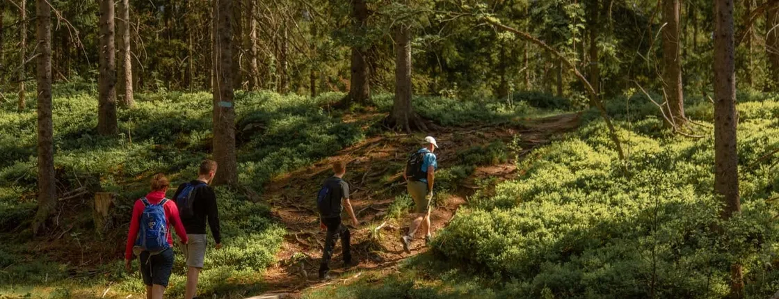 Oslo wildlife forest private hiking tour