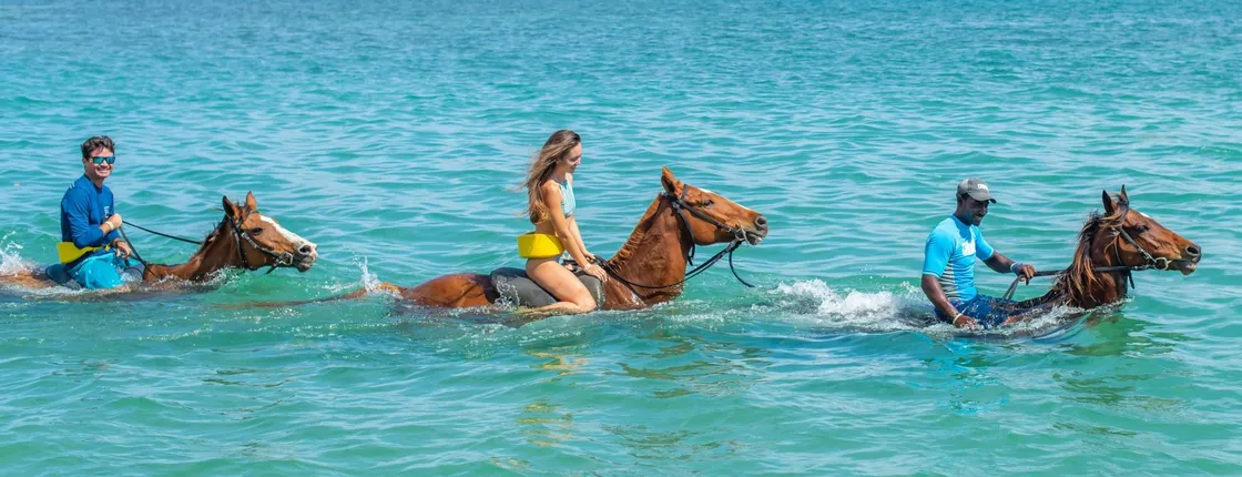 Full-day west Jamaica activity tour