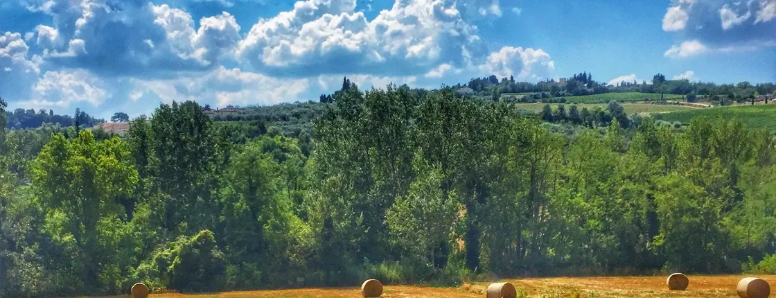 Tuscany Bike Tour through Chianti Hills with Wine Tasting