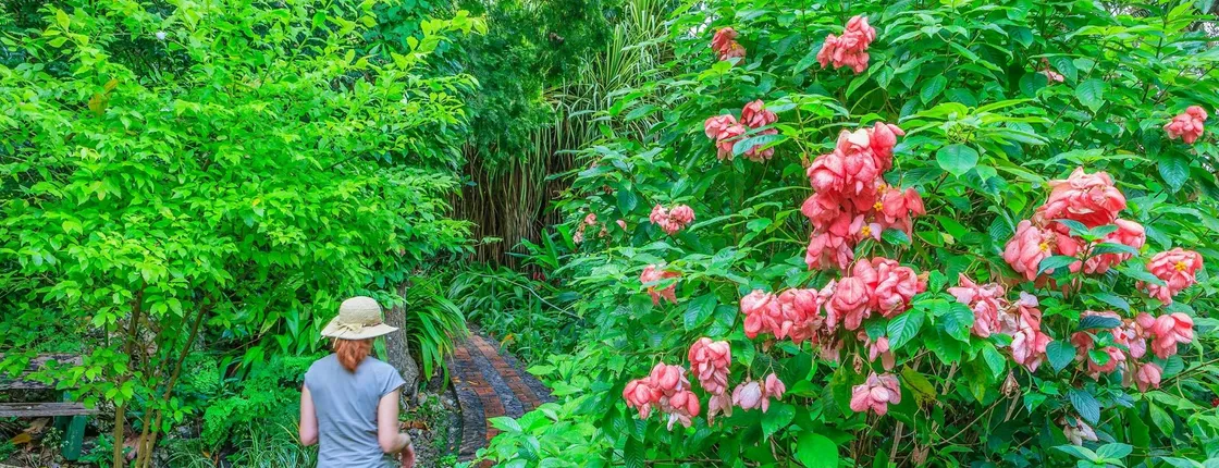 Barbados Flower Forest, Harrison's Cave & Earthworks Pottery Tour