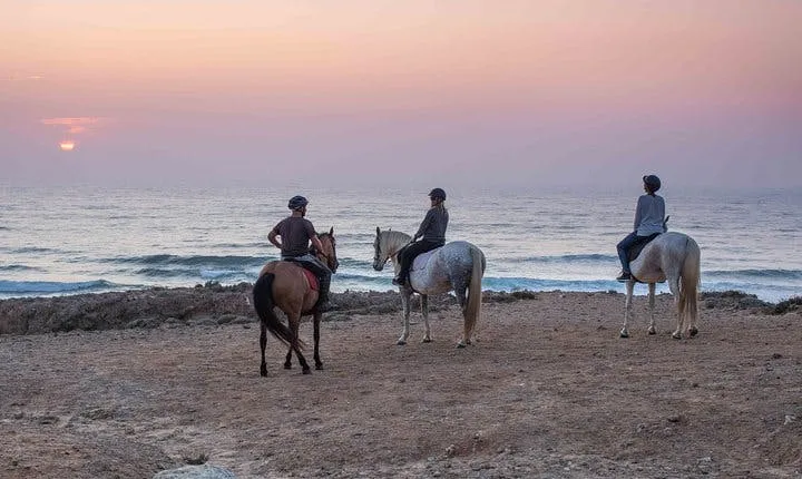 Sunset Bordeira beach horse riding guided tour