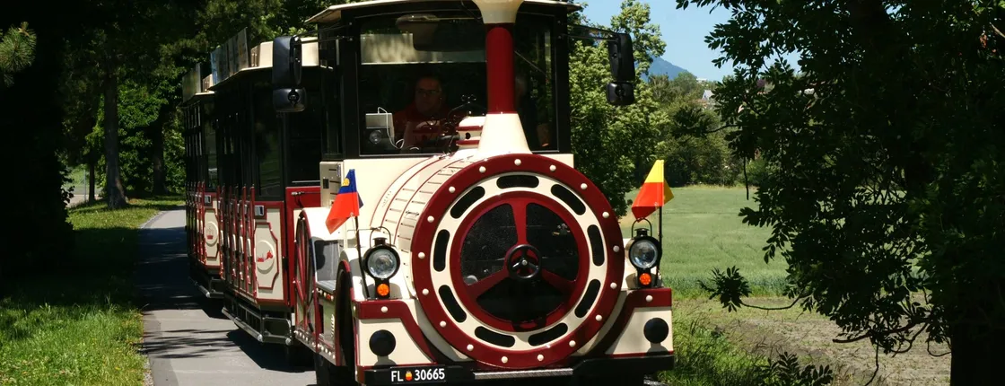 Vaduz Citytrain tour in 35 minutes with audio guide
