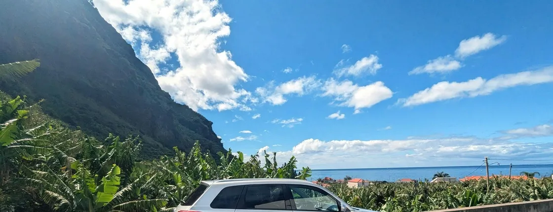 Madeira's West Side Express Private Tour