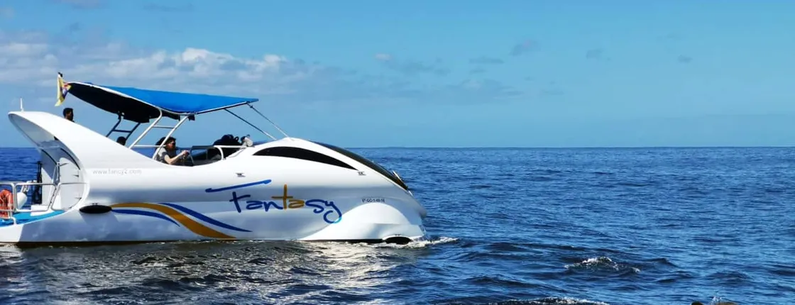 Speedboat tour of the northwestern coast of La Palma